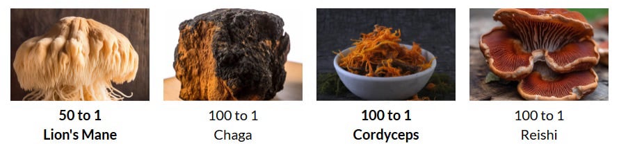 Nootopia Collagenius